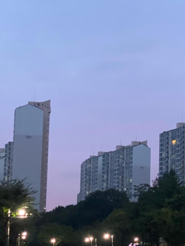 컨텐츠파일