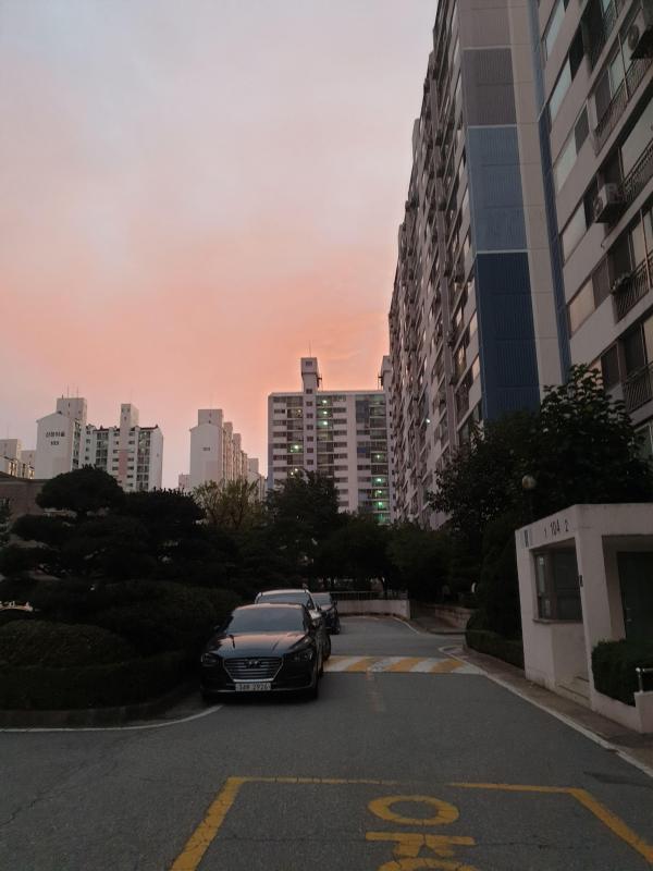 컨텐츠파일