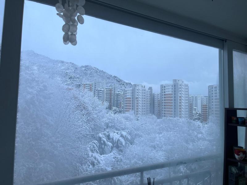 컨텐츠파일