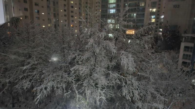 컨텐츠파일