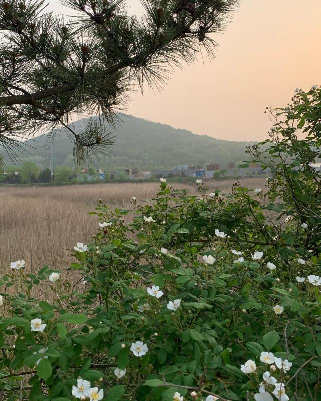 컨텐츠파일