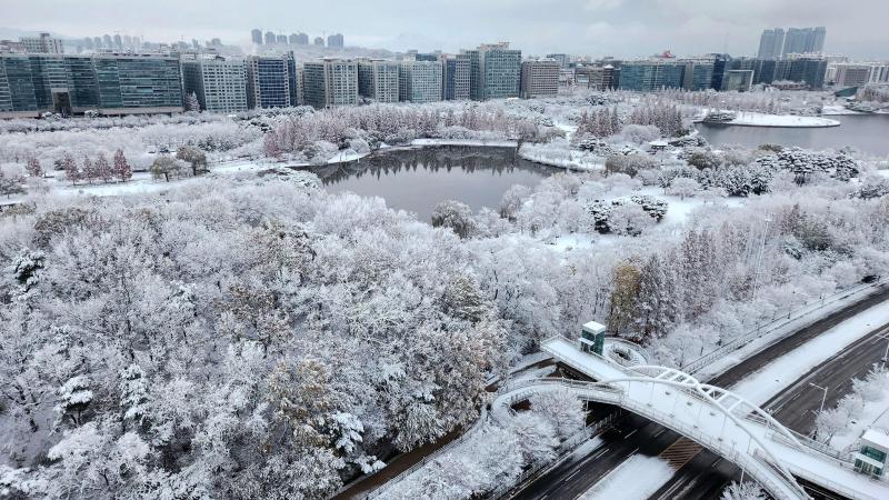 컨텐츠파일