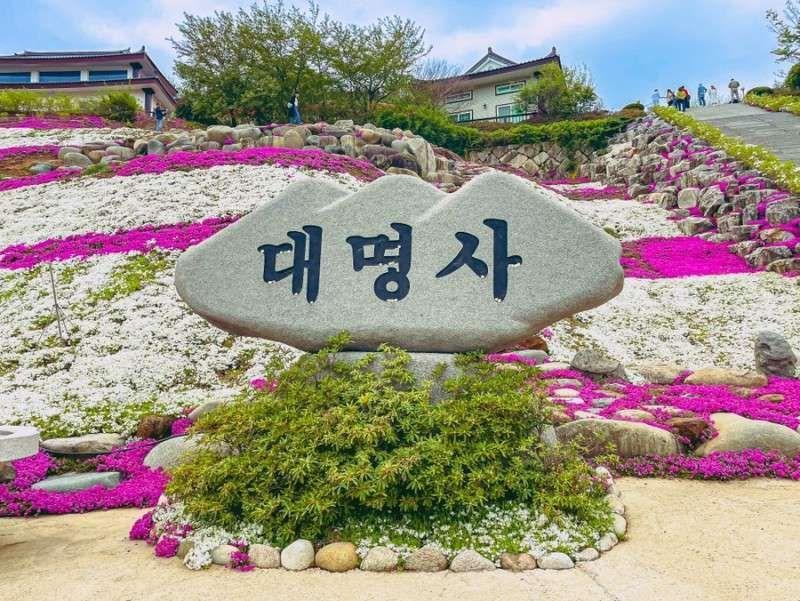 산청 대명사 꽃잔디💗 | KB부동산