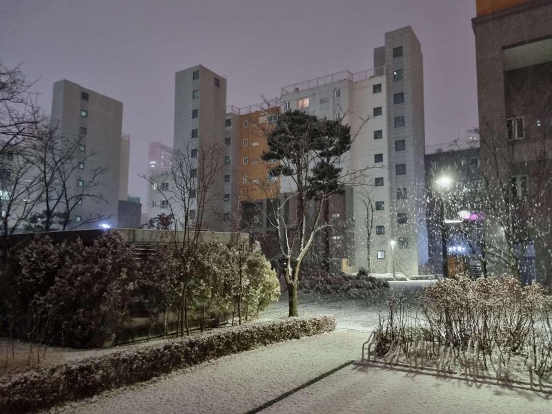 컨텐츠파일