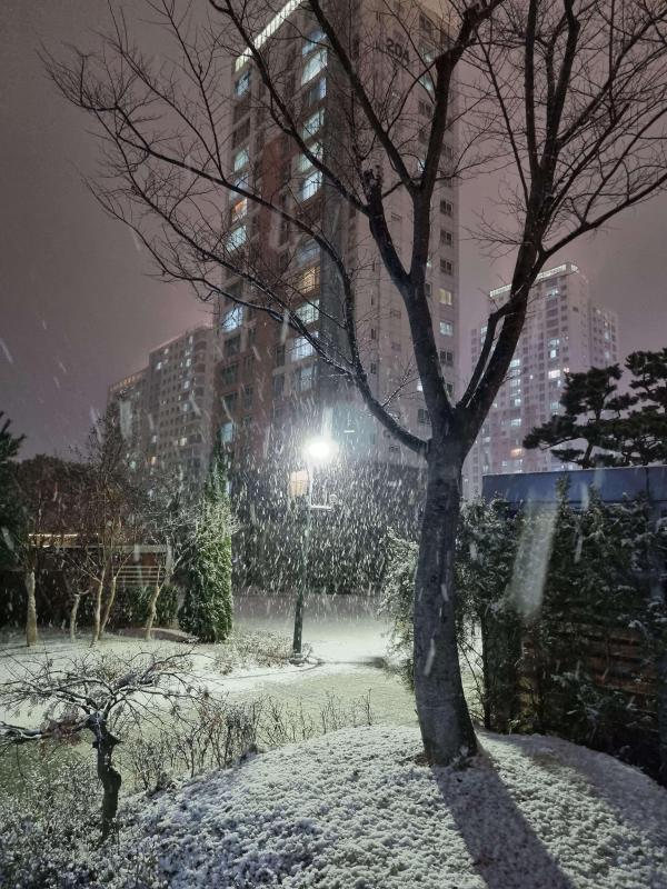 컨텐츠파일