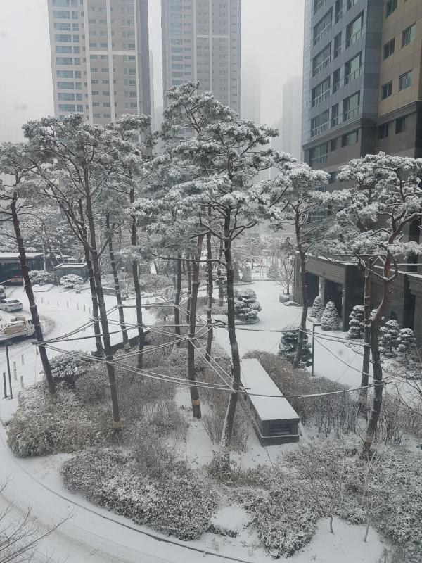대박대박