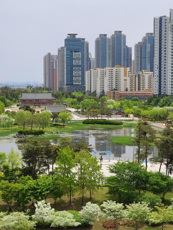 컨텐츠파일