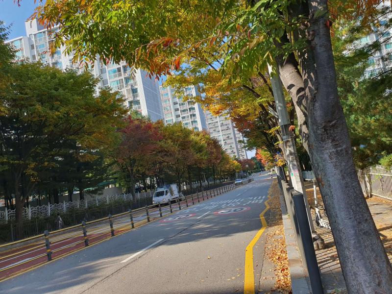 컨텐츠파일