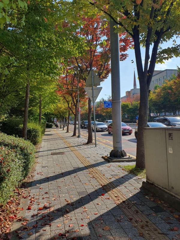 컨텐츠파일