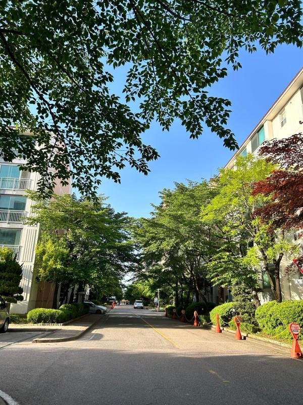 컨텐츠파일