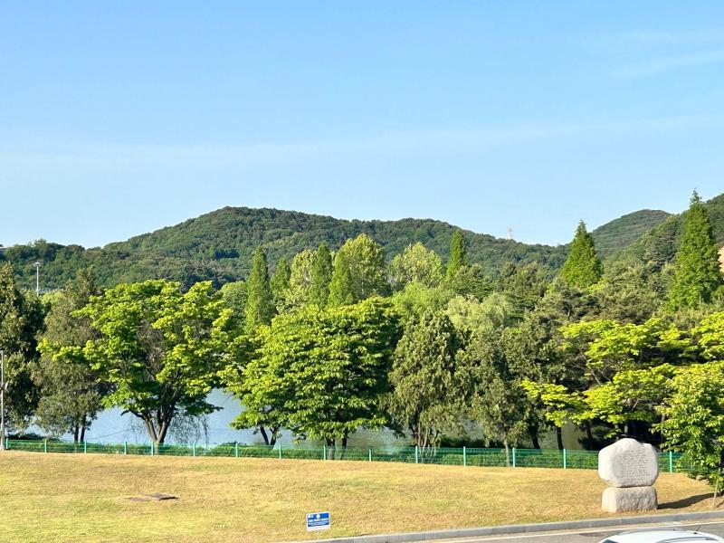 컨텐츠파일