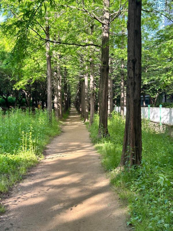 컨텐츠파일