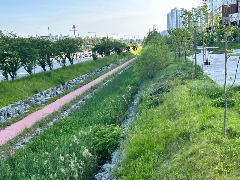 컨텐츠파일