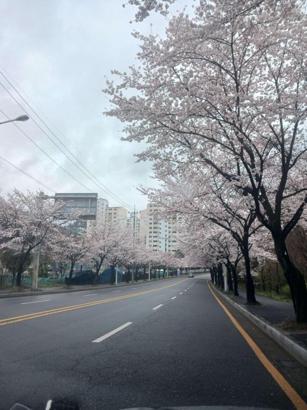 컨텐츠파일