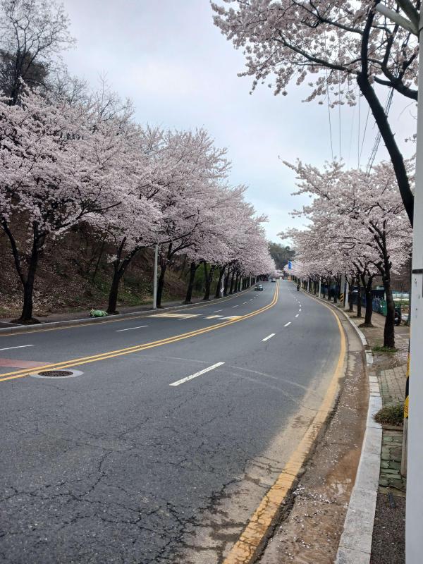 컨텐츠파일