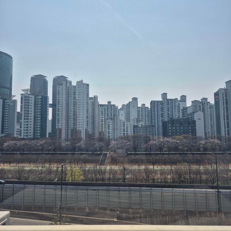 컨텐츠파일