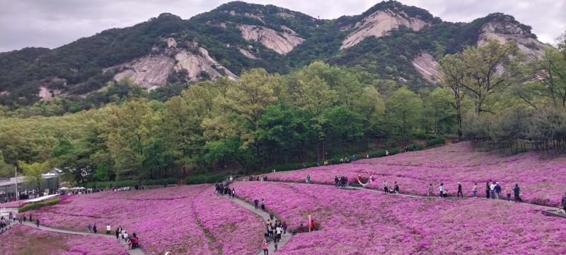 컨텐츠파일