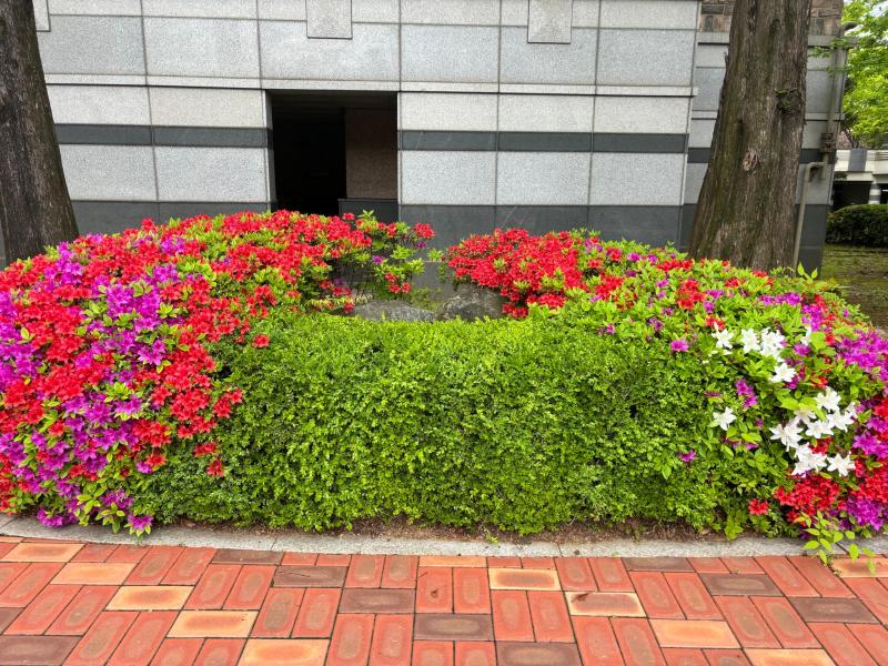 컨텐츠파일