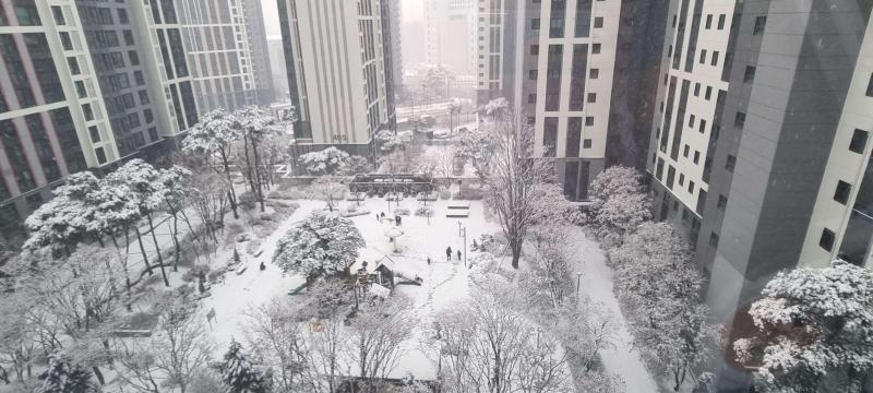 컨텐츠파일