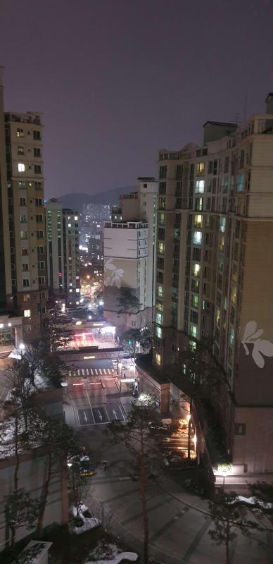 컨텐츠파일