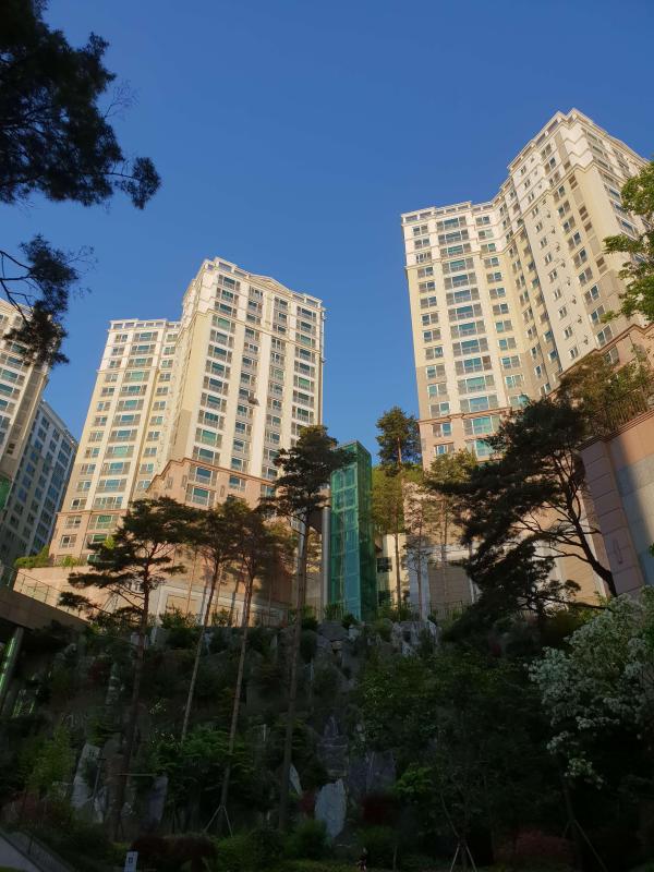 컨텐츠파일