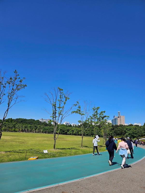 컨텐츠파일