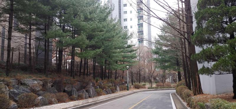 컨텐츠파일