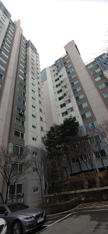 컨텐츠파일