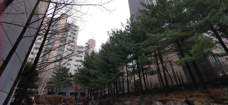 컨텐츠파일