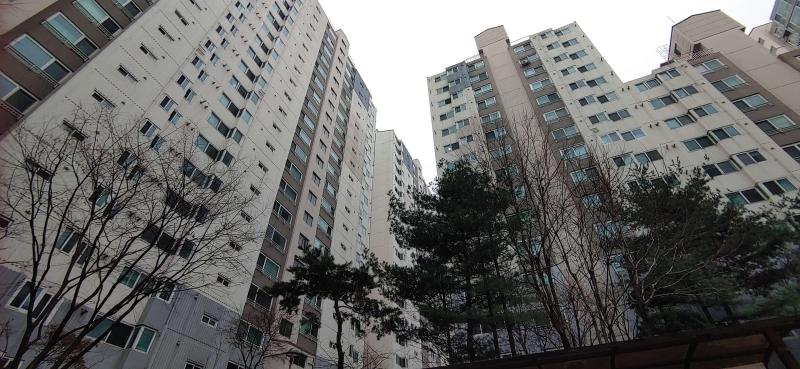 컨텐츠파일
