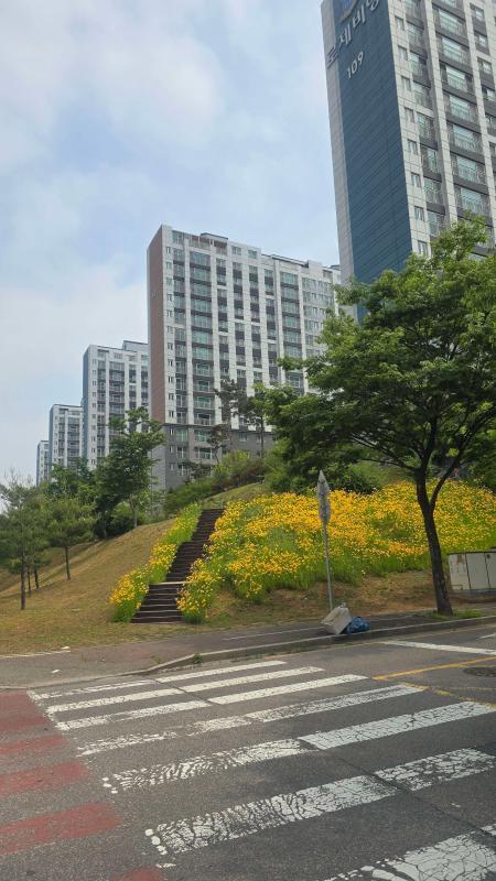 컨텐츠파일