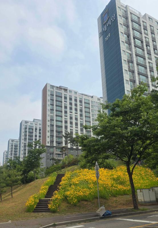 컨텐츠파일