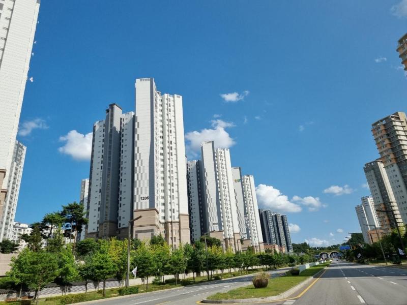 컨텐츠파일