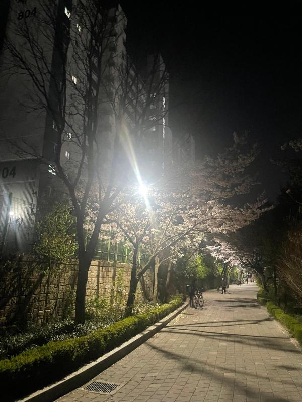 컨텐츠파일