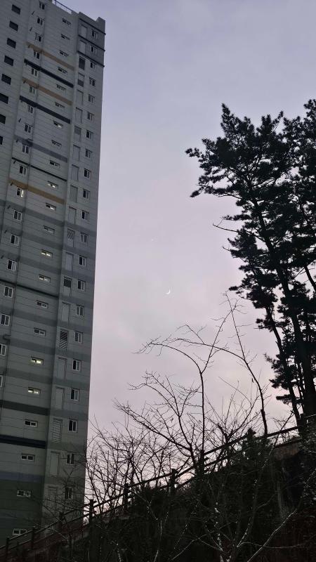컨텐츠파일