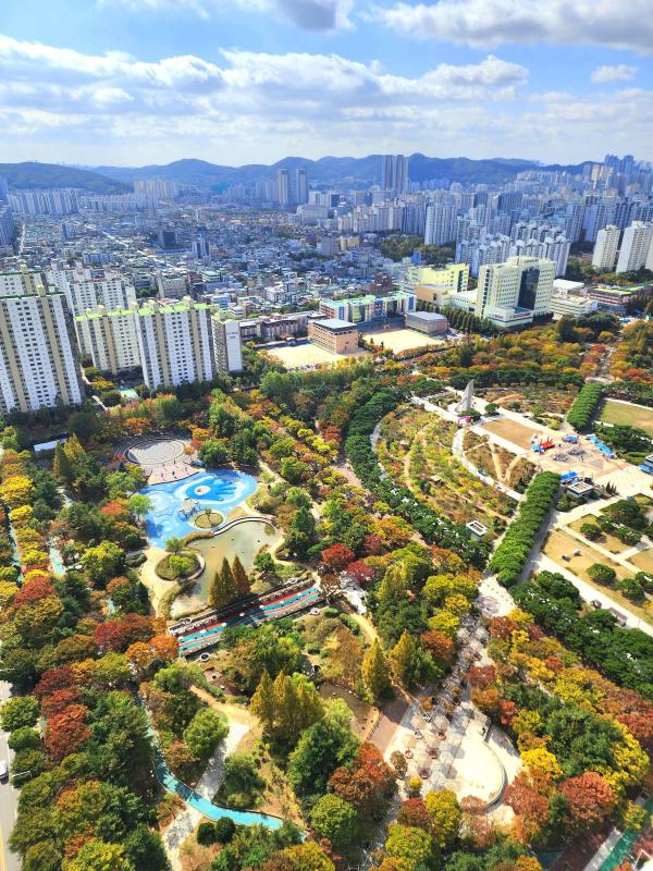 컨텐츠파일