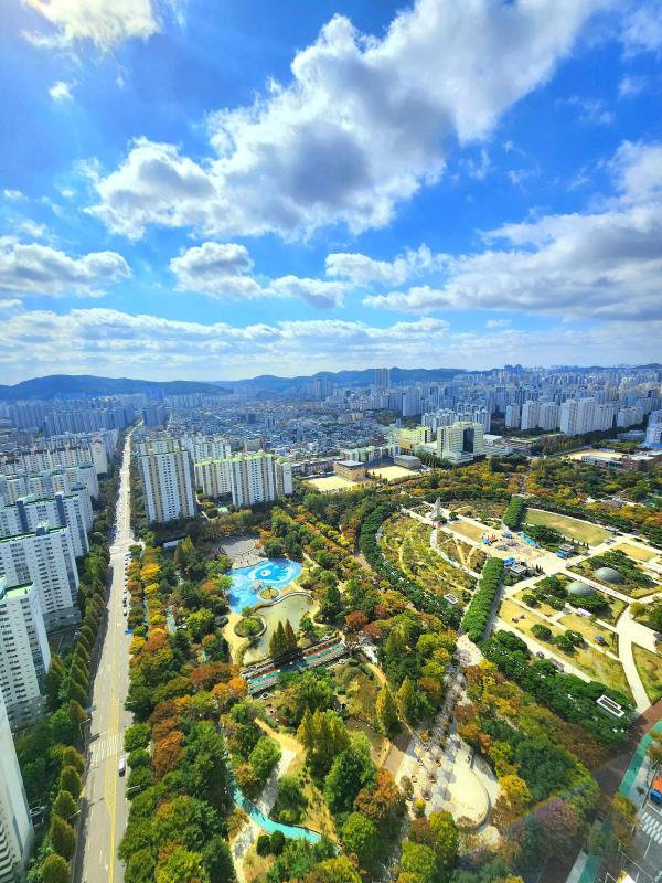 컨텐츠파일