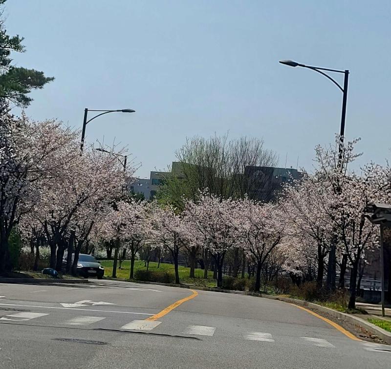 컨텐츠파일