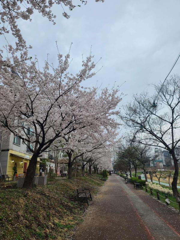컨텐츠파일