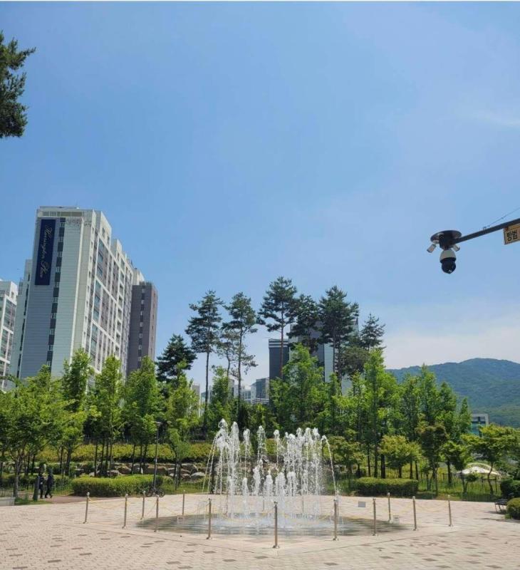 컨텐츠파일