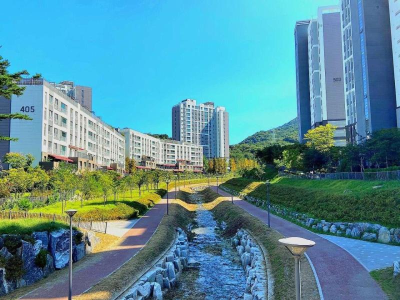 컨텐츠파일