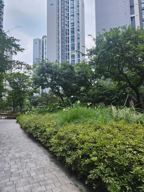 컨텐츠파일