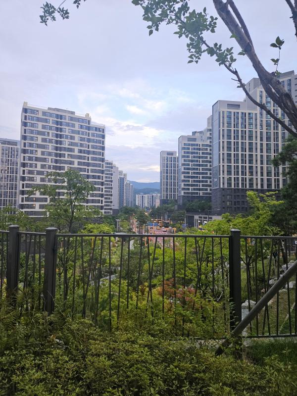 컨텐츠파일
