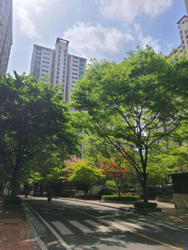 컨텐츠파일