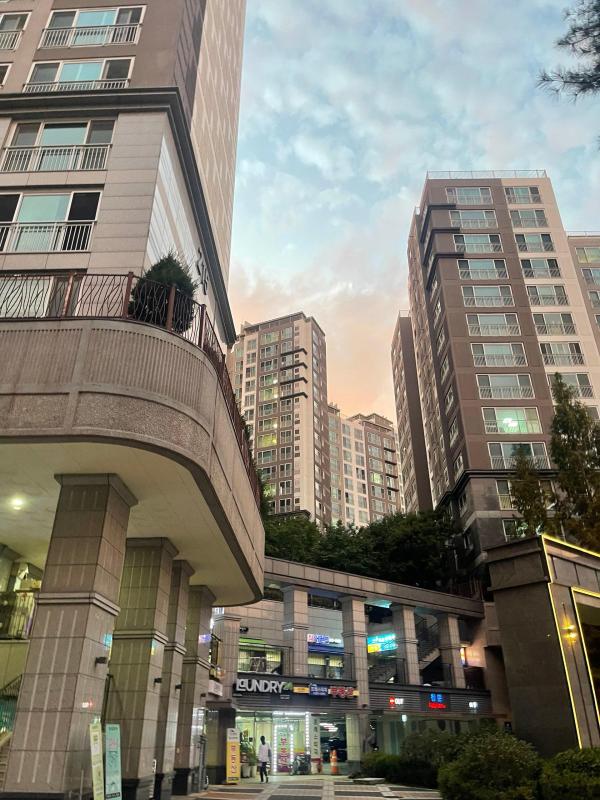 컨텐츠파일