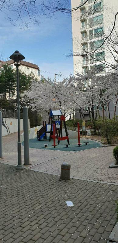 컨텐츠파일
