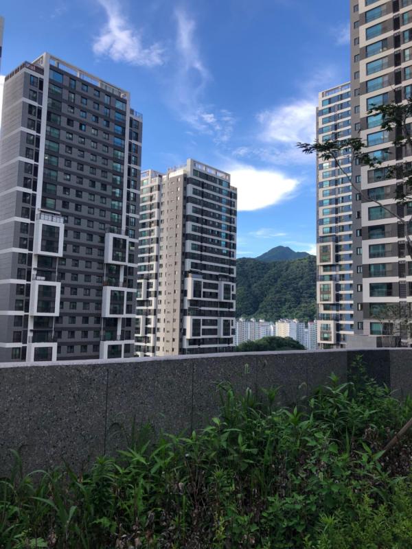 알프지기