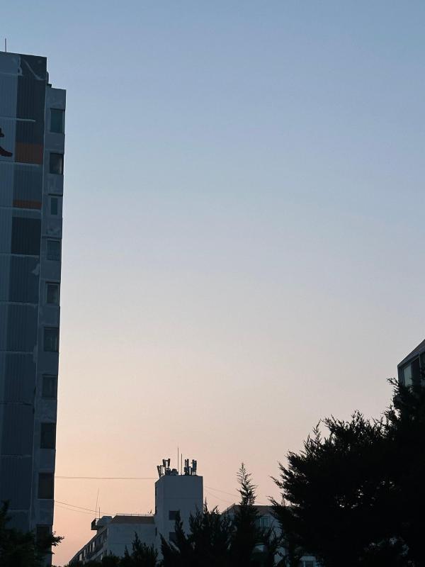 컨텐츠파일