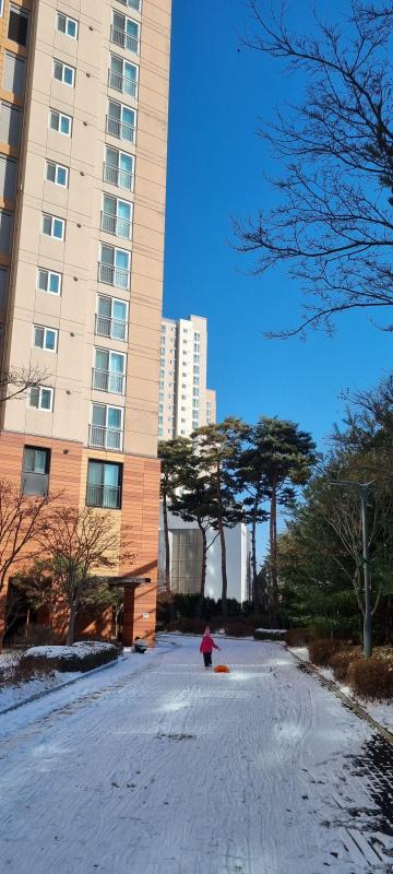 손상진