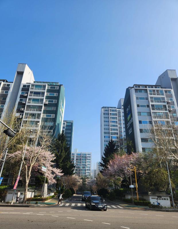 컨텐츠파일